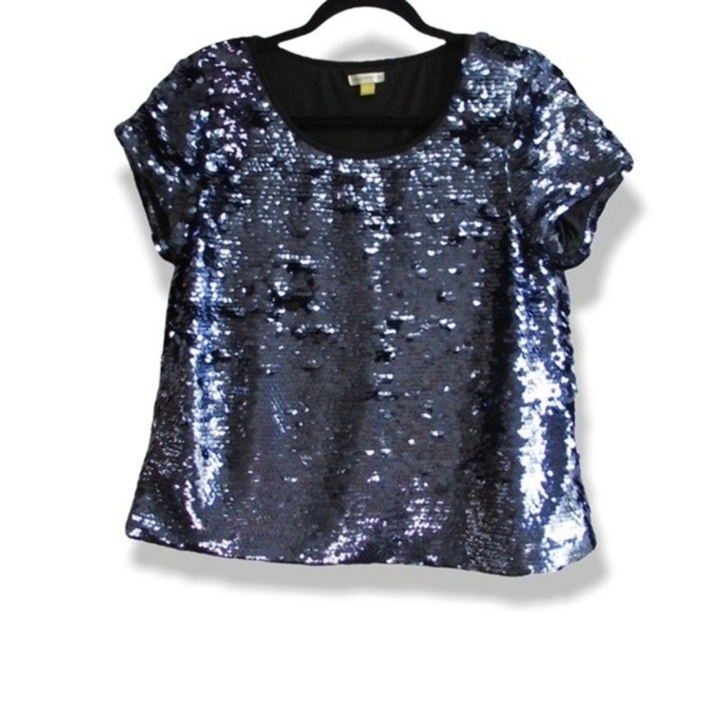 Leifsdottir Blue Sequence top D-38